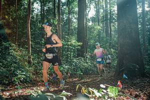 BIB: 
                            <button type="button" onclick="openModal(26074274)" class="btn btn-primary btn-sm float-right btn-popup" data-toggle="modal" data-target=".modal-high-quality">
                        <i class="fas fa-shopping-cart"></i> Add to Cart
                    </button>
                                            <button type="button" onclick="isThisMe(26074274, true)" class="btn btn-success btn-sm float-right btn-popup btn-isme hidden" data-toggle="tooltip" data-placement="bottom" title="นี่คือรูปของคุณใช่ไหม คลิกที่นี่เพื่อเอาเข้าอัลบั้ม">
                        <i class="fas fa-plus"></i> Add to album
                    </button>
                    <button type="button" onclick="isThisMe(26074274, false)" class="btn btn-warning btn-sm float-right btn-popup btn-isnotme hidden">
                        <i class="fas fa-ban"></i> Remove from album
                    </button>